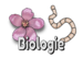 Bildkarte Biologie